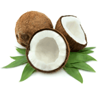 Coconut Oil