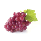 Grape Seed Extract