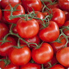 Lycopene